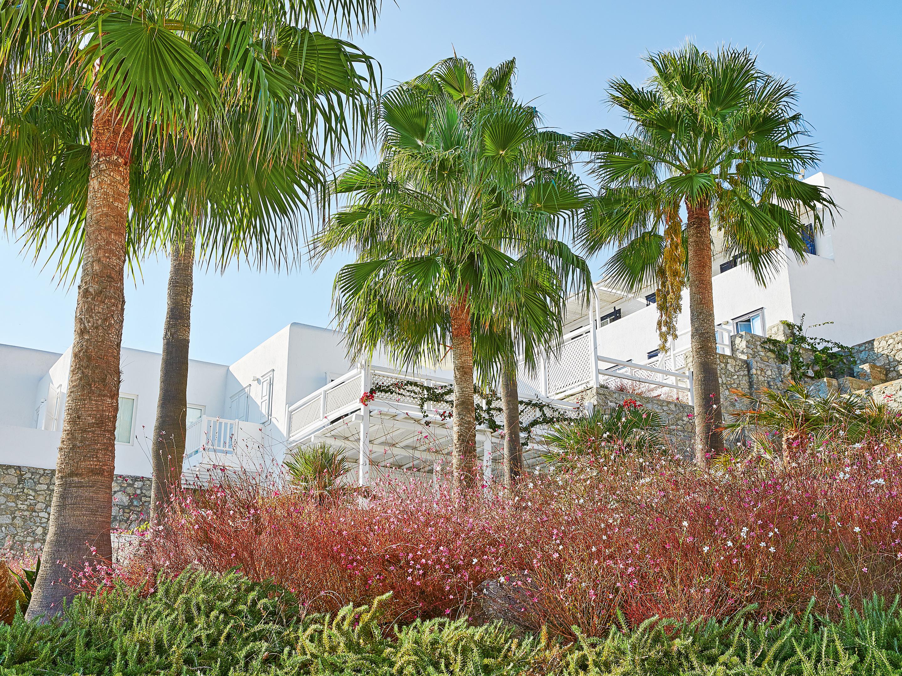 Mykonos Blu, A Grecotel Resort To Live Psarou  Bagian luar foto